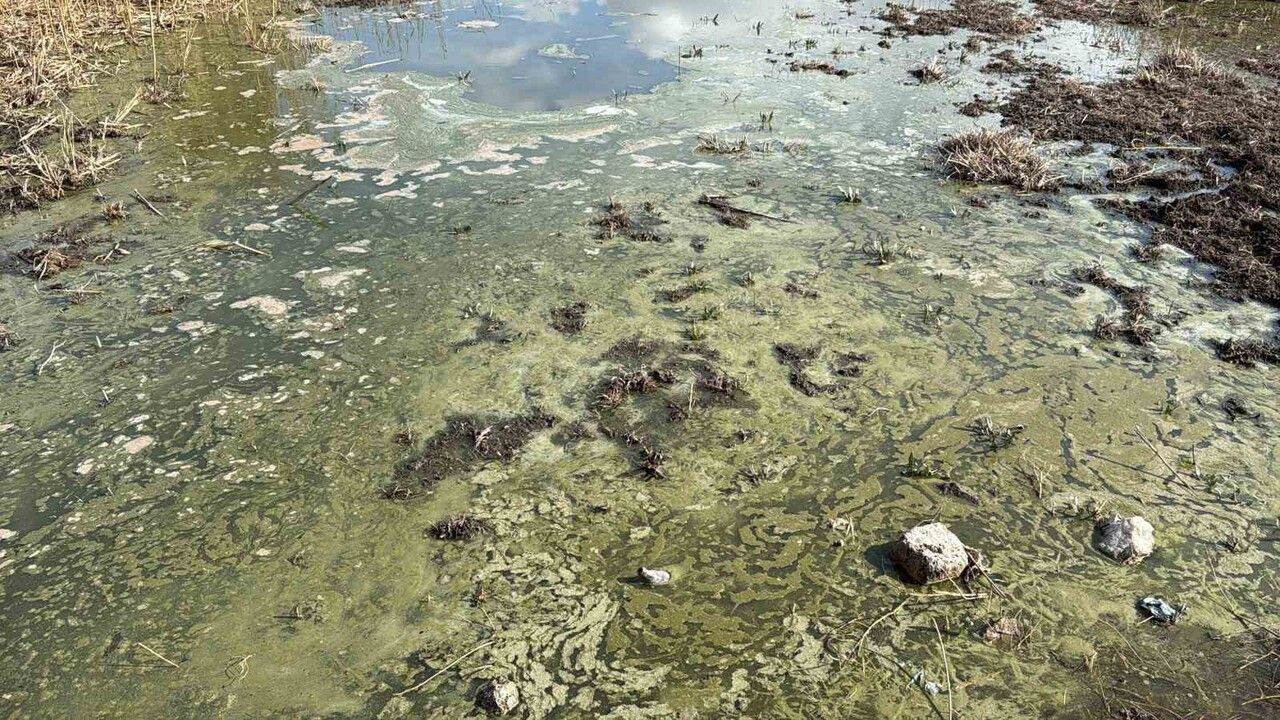 Eber Gölü'nde Kirlilik Alarmı: Afyonkarahisar'da Çöpler Kıyılara Vurdu