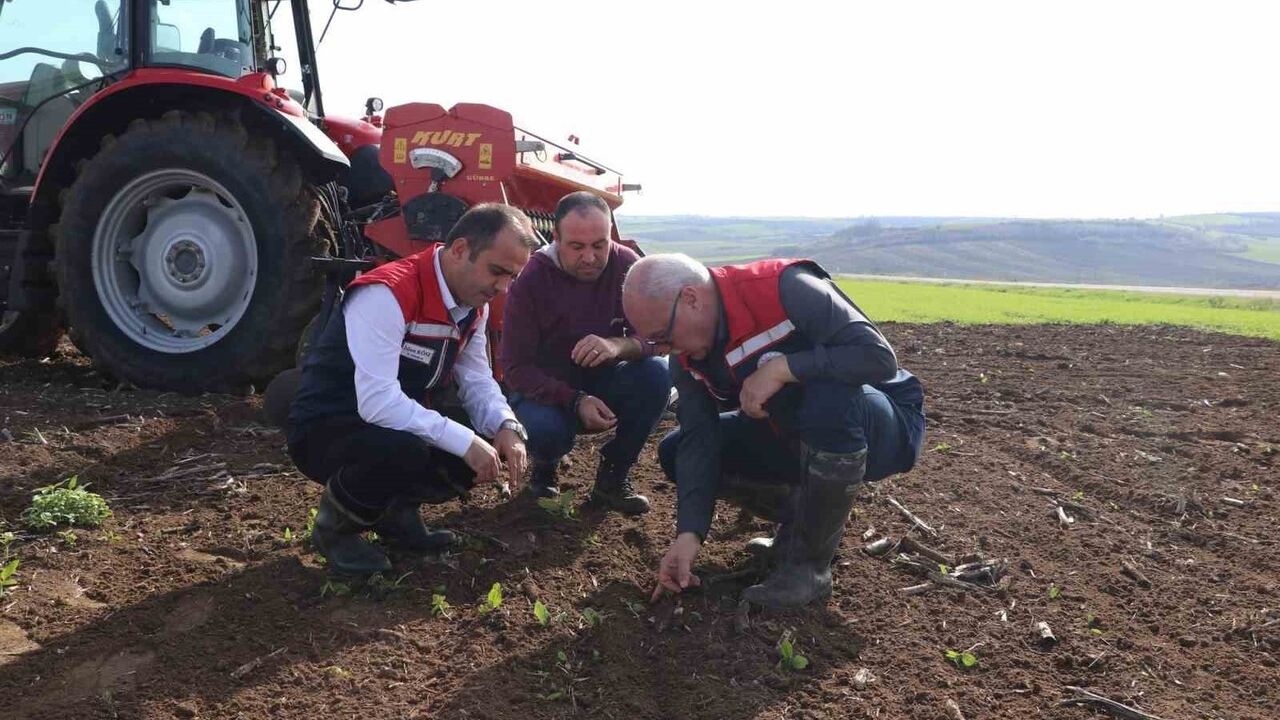 Edirne'de Ayçiçeği-Buğday Münavebesinde Toprak İşleme Denemeleri