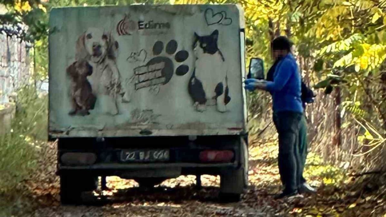 Edirne'de Köpek Toplama Görüntüleri Tepki Çekti