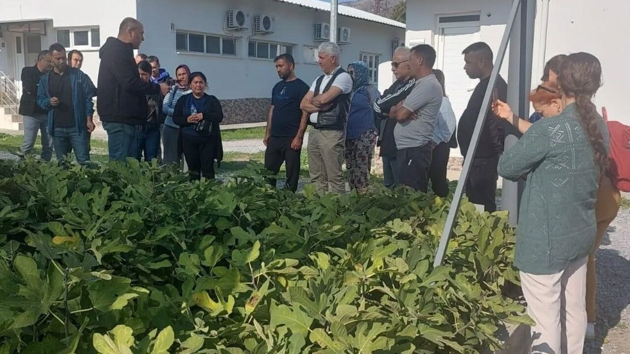 Edremit'te Çiftçilere İklim Değişikliği ve Sulama Eğitimi — 12-14 Kasım 2025