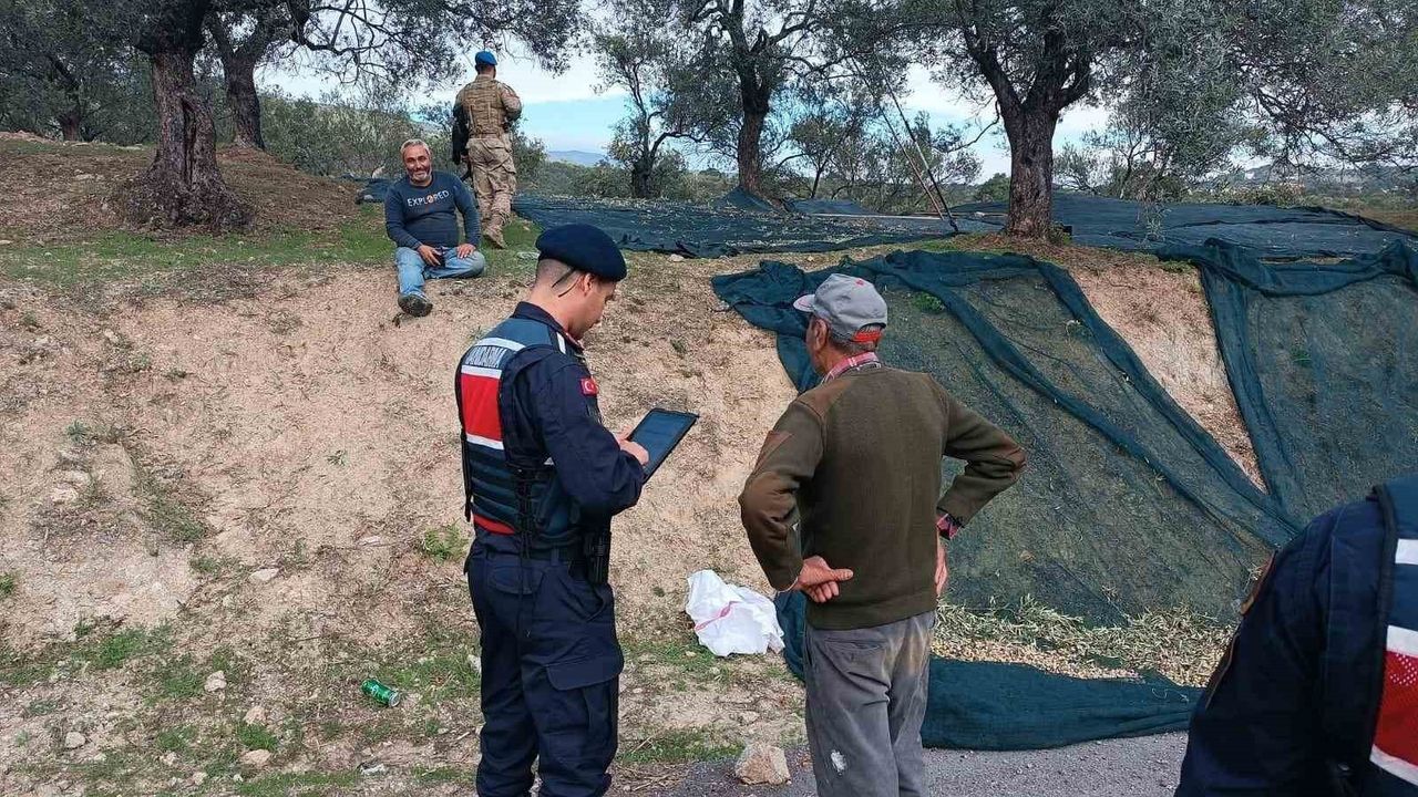 Edremit'te Komandolar Zeytin Hırsızlığına Karşı 24 Saat Görevde