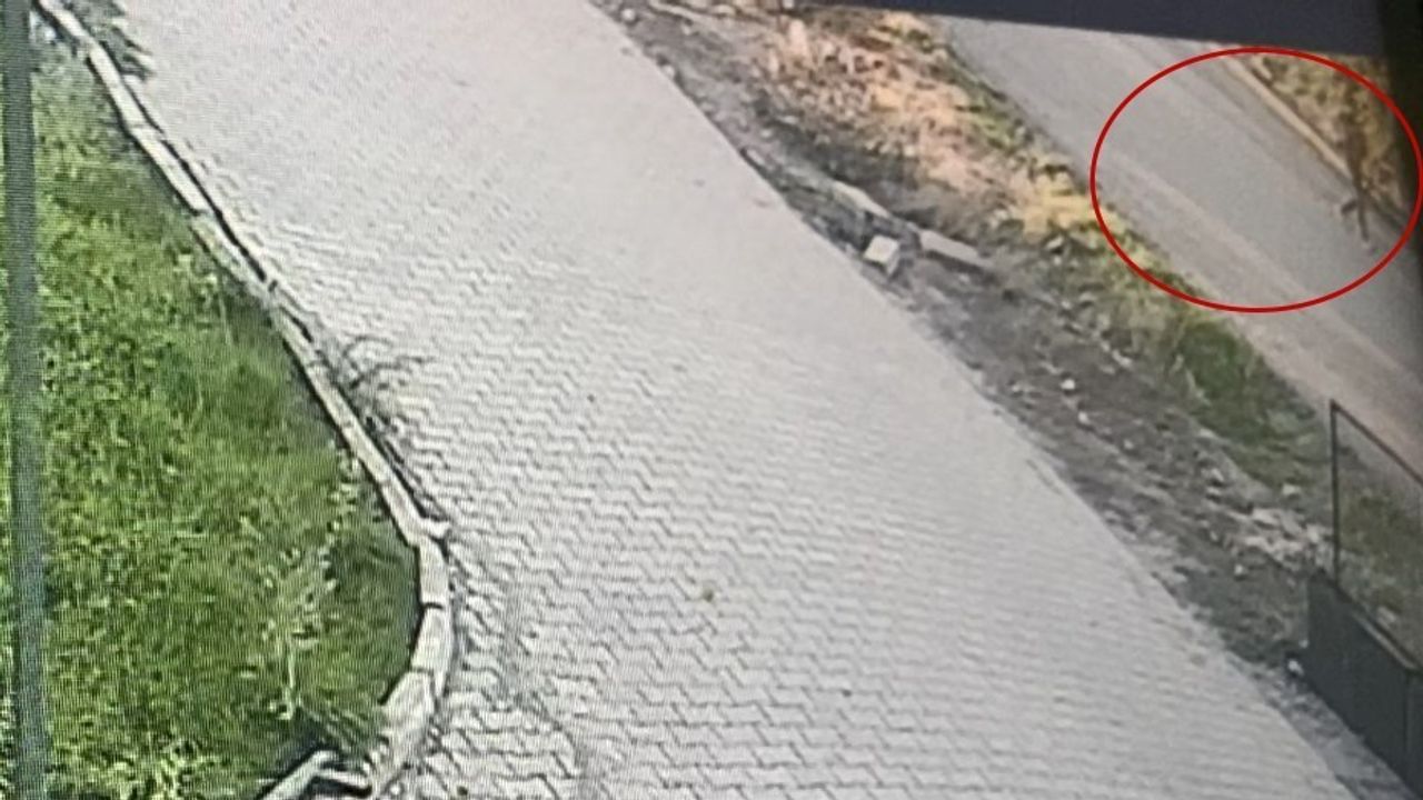 Elazığ'da 11 Yaşındaki Otizmli Çocuğun Kayıp Görüntüleri Ortaya Çıktı