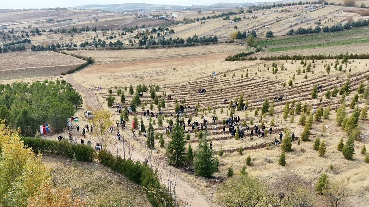Elazığ'da Fırat Üniversitesi Kovancılar MYO Öğrencileri Doğu Türkistan ve Filistin İçin Fidan Dikti