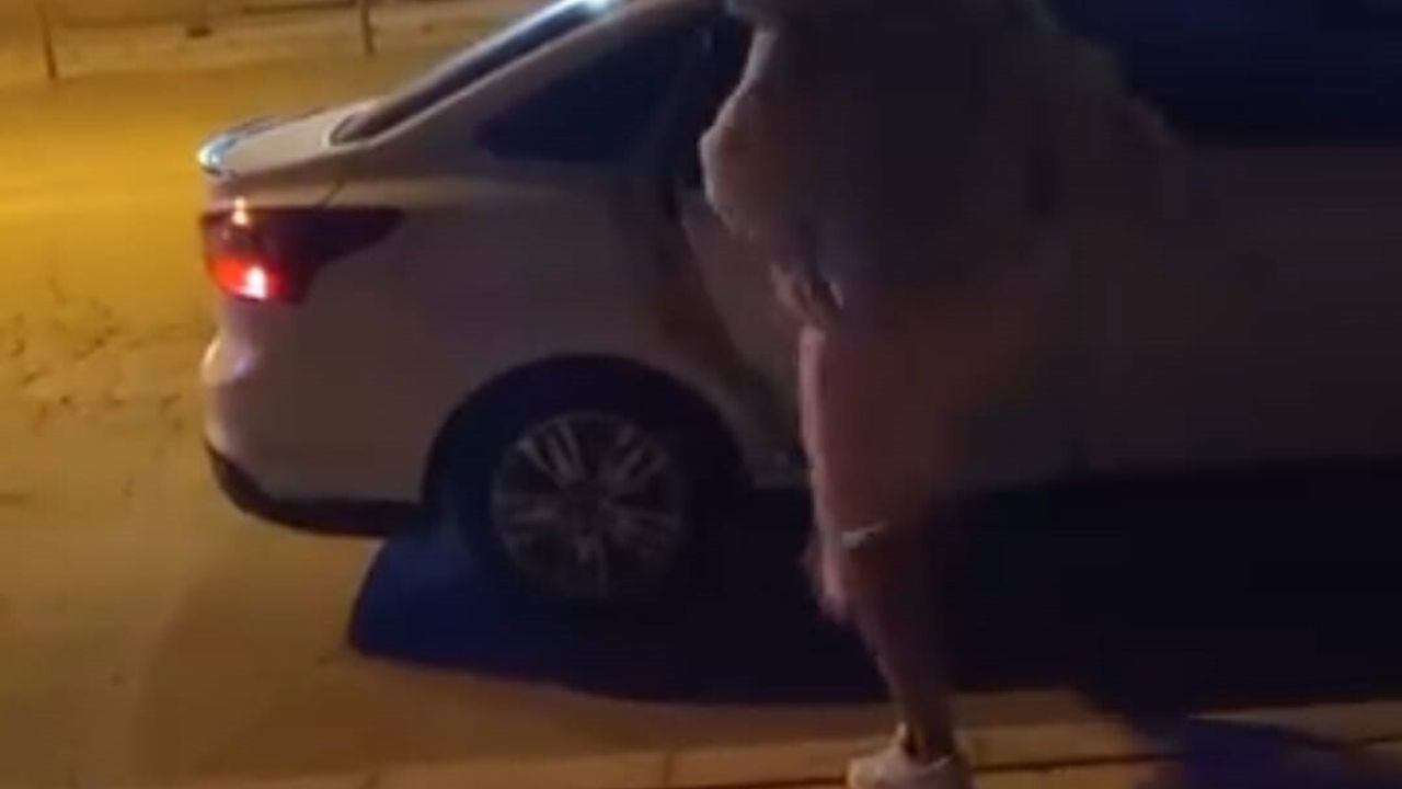 Elazığ'da Kadın Tartıştığı Kişinin Otomobiline Saldırdı