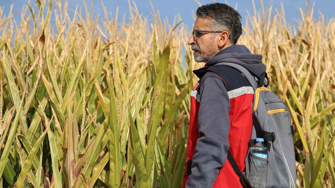 Elazığ'da Kayıp Otizmli Veysel Bilen İçin 4. Günde Arama Sürüyor