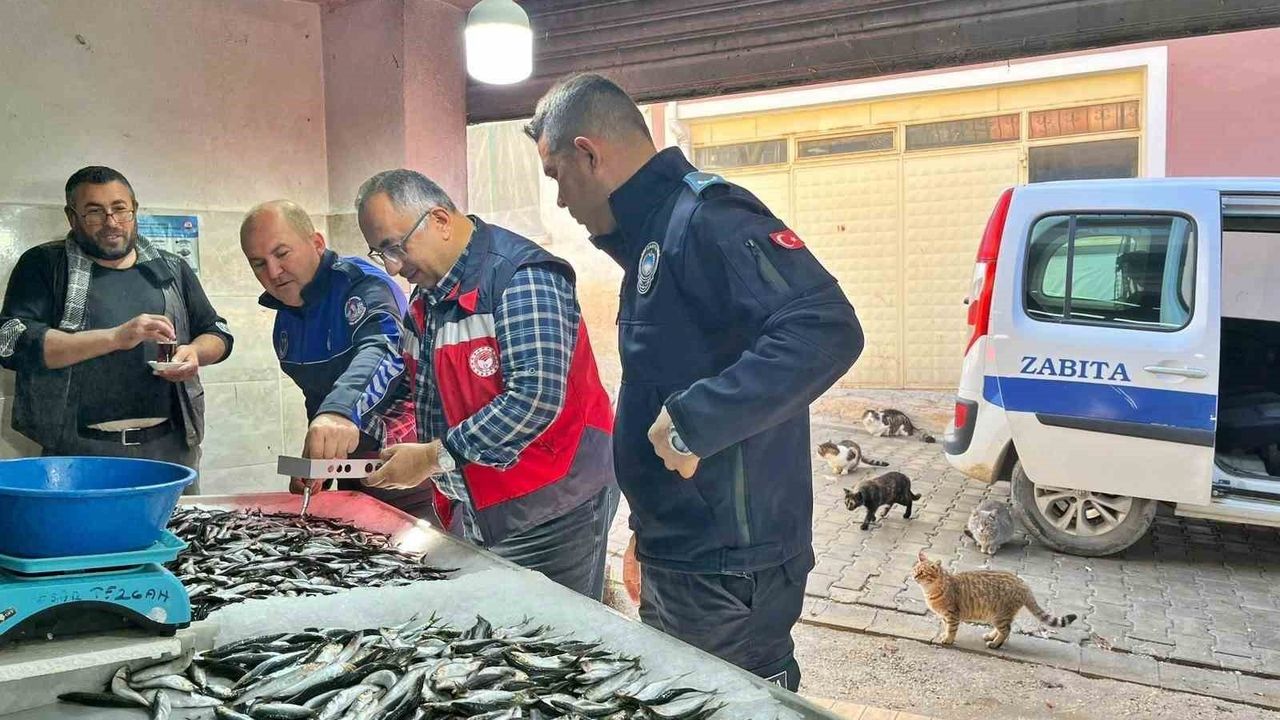 Emet'te Su Ürünleri Denetimi: Pazar Yerinde Hijyen ve İzlenebilirlik Kontrolleri