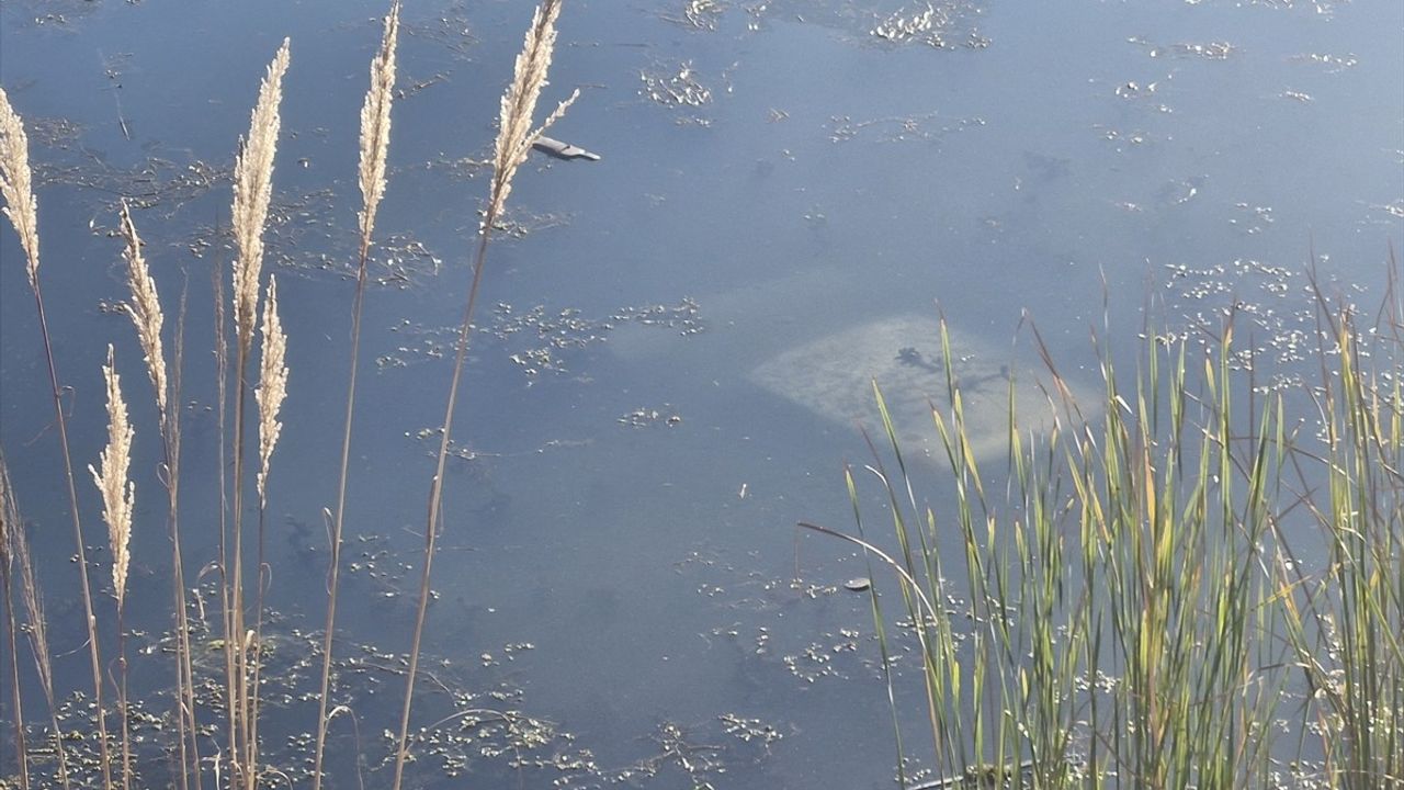 Erbaa'da Gölete Düşen Otomobilin Sürücüsü Yaralandı
