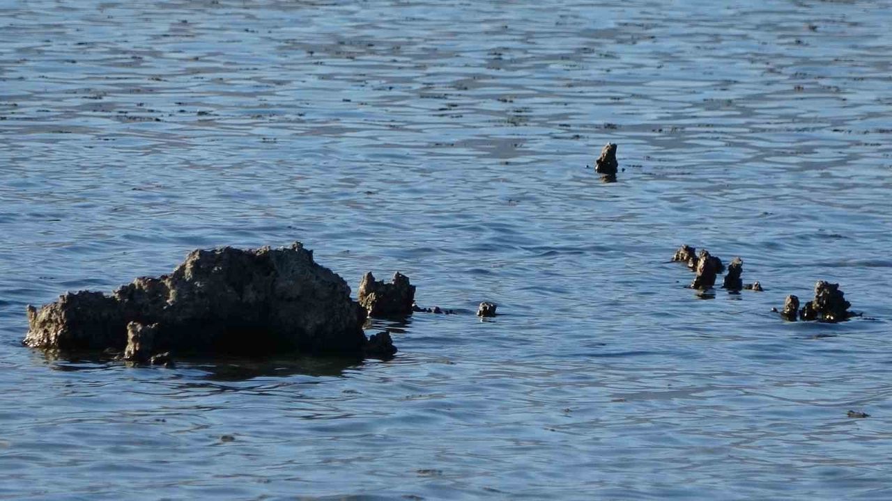 Erçek Gölü’nde Su Çekilmesi Mikrobiyalitleri Gün Yüzüne Çıkardı