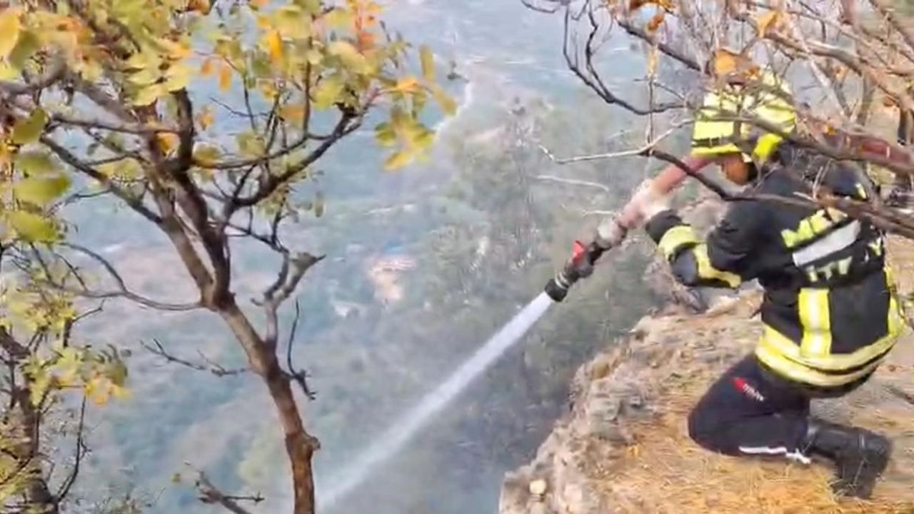 Erdemli'de makilik yangın narenciye bahçelerine ulaşmadan söndürüldü