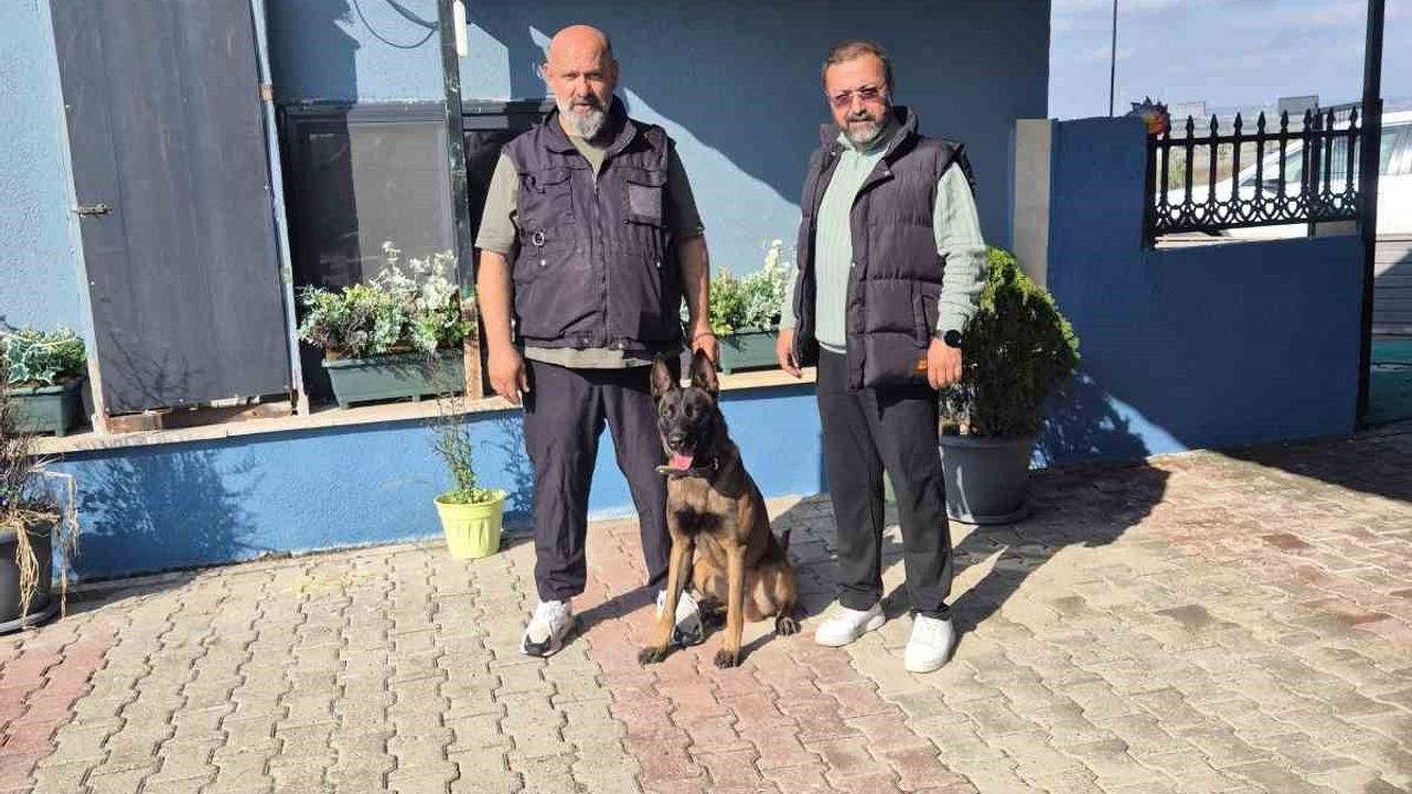 Eren Ay: "Köpekler Kötü Değildir, Kötü Eğitim Vardır"