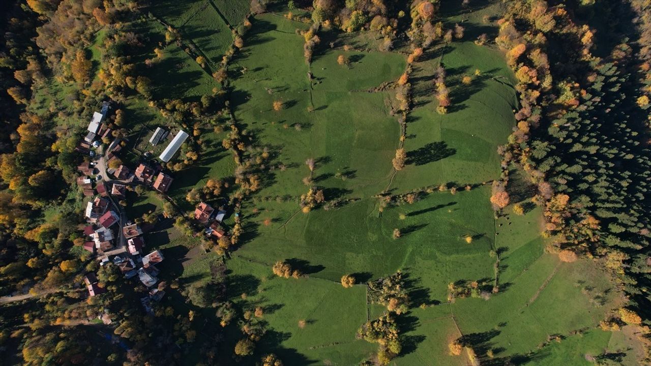 Ersizlerdere Kanyonu'nda Sonbahar Renk Şöleni — Küre Dağları, Kastamonu