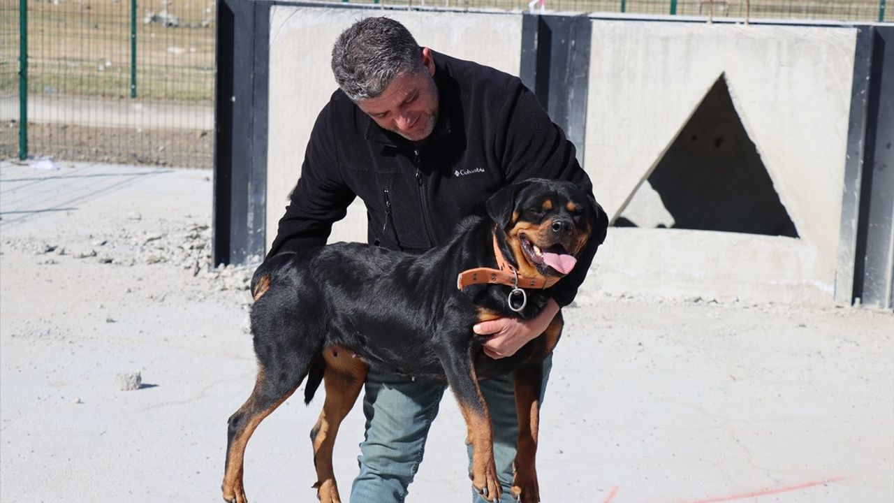 Erzincan'da Arama Kurtarma Köpekleri Eğitimi Başladı