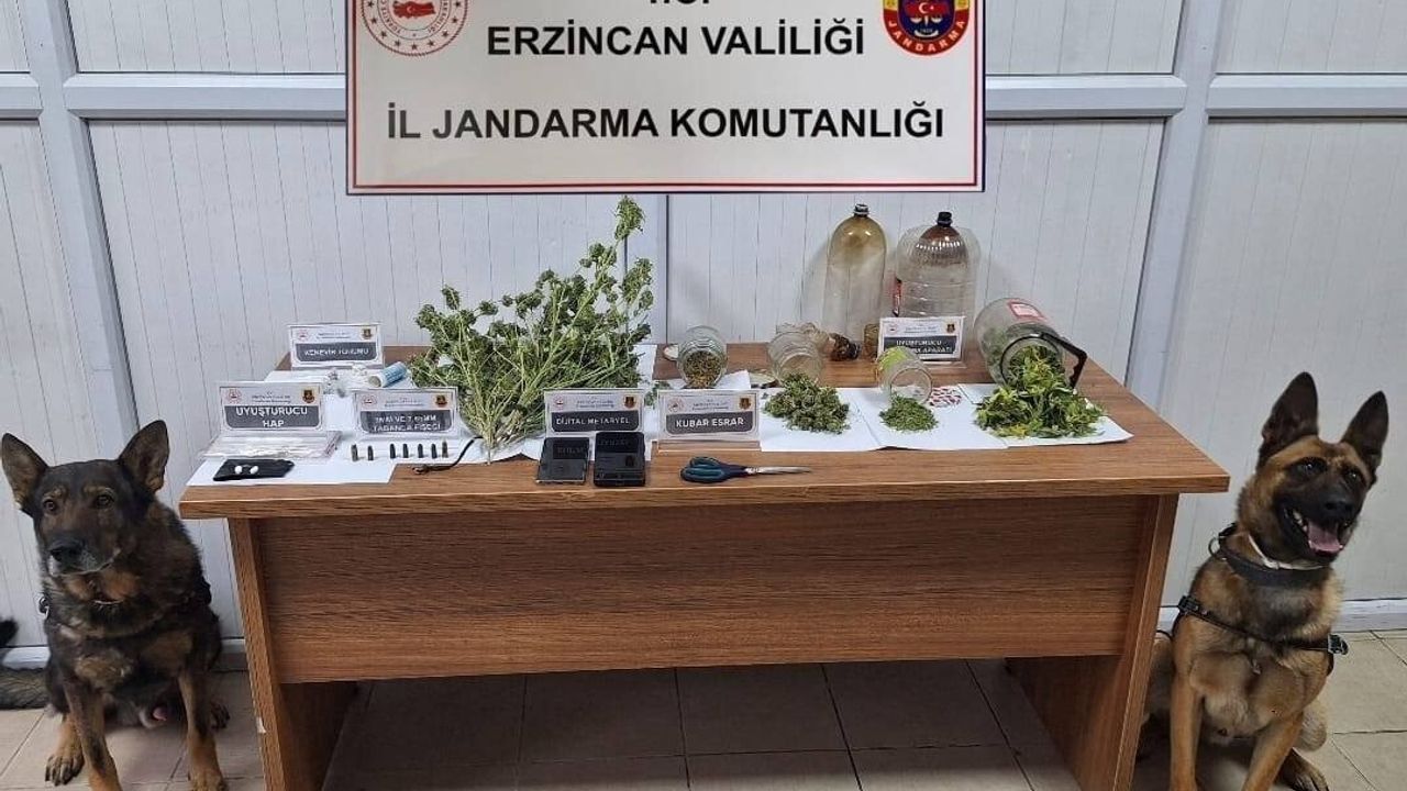 Erzincan Jandarma Kasım 2025: 124 Olayın %93'ü Aydınlatıldı