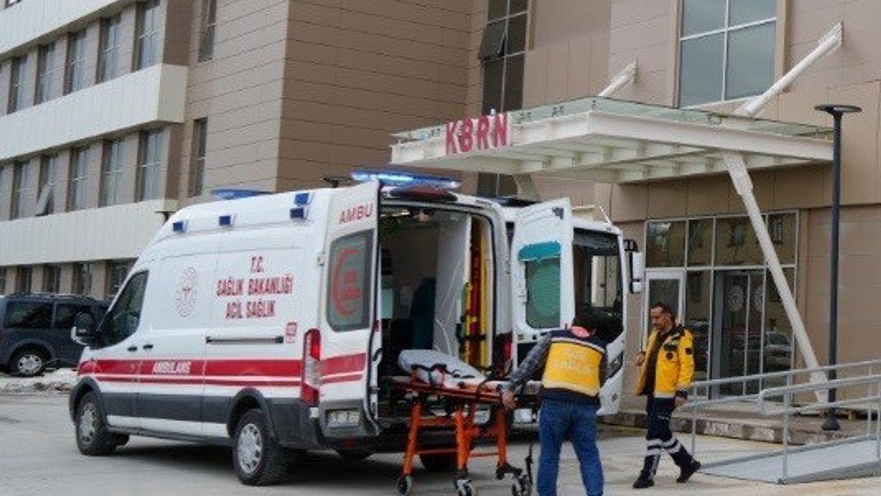 Erzincan Üzümlü'de Üzüm Bağında Ayı Saldırısı: Vatandaş Yaralandı