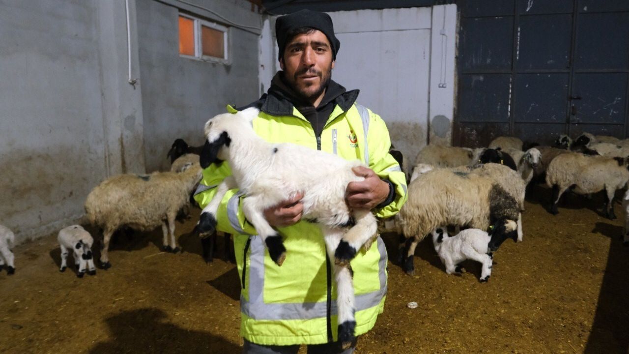 Erzincanlı Üretici Adem Şimşek, Yüzde 50 Hibe ile 8 Milyon TL’lik Çiftlik Kurdu