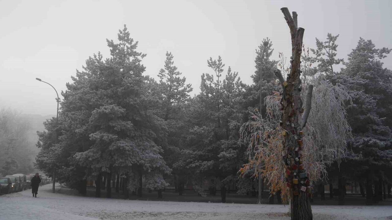Erzurum güne sis ve kırağıyla uyandı — Meteoroloji uyardı