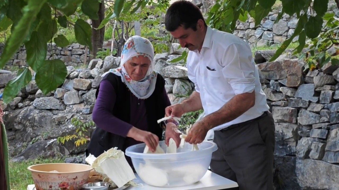 Erzurum’un Göğermiş Peyniri: Yayladan Sofraya Doğal Antibiyotik