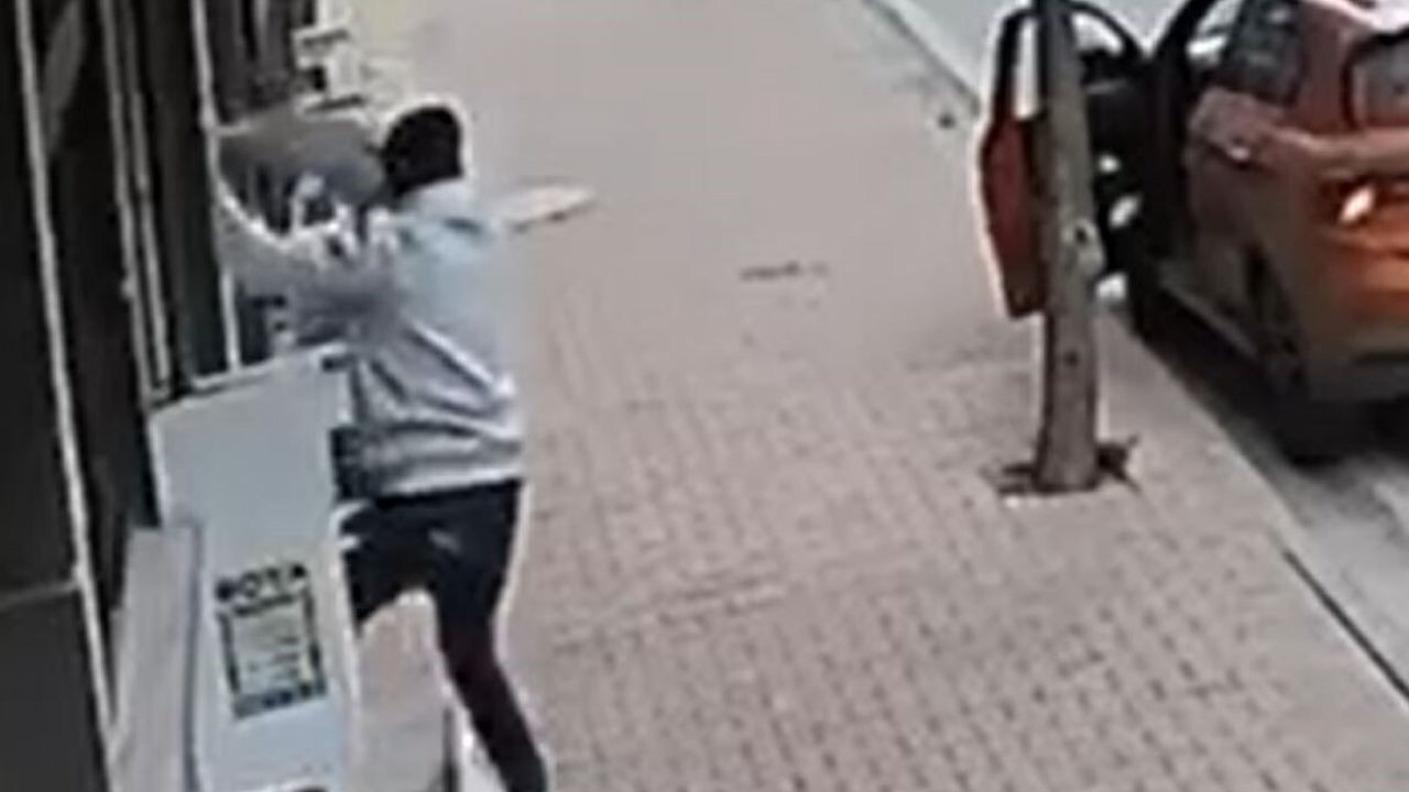 Esenyurt'ta Balkon Hırsızlığı: Cins Kedi Araba ile Çalındı