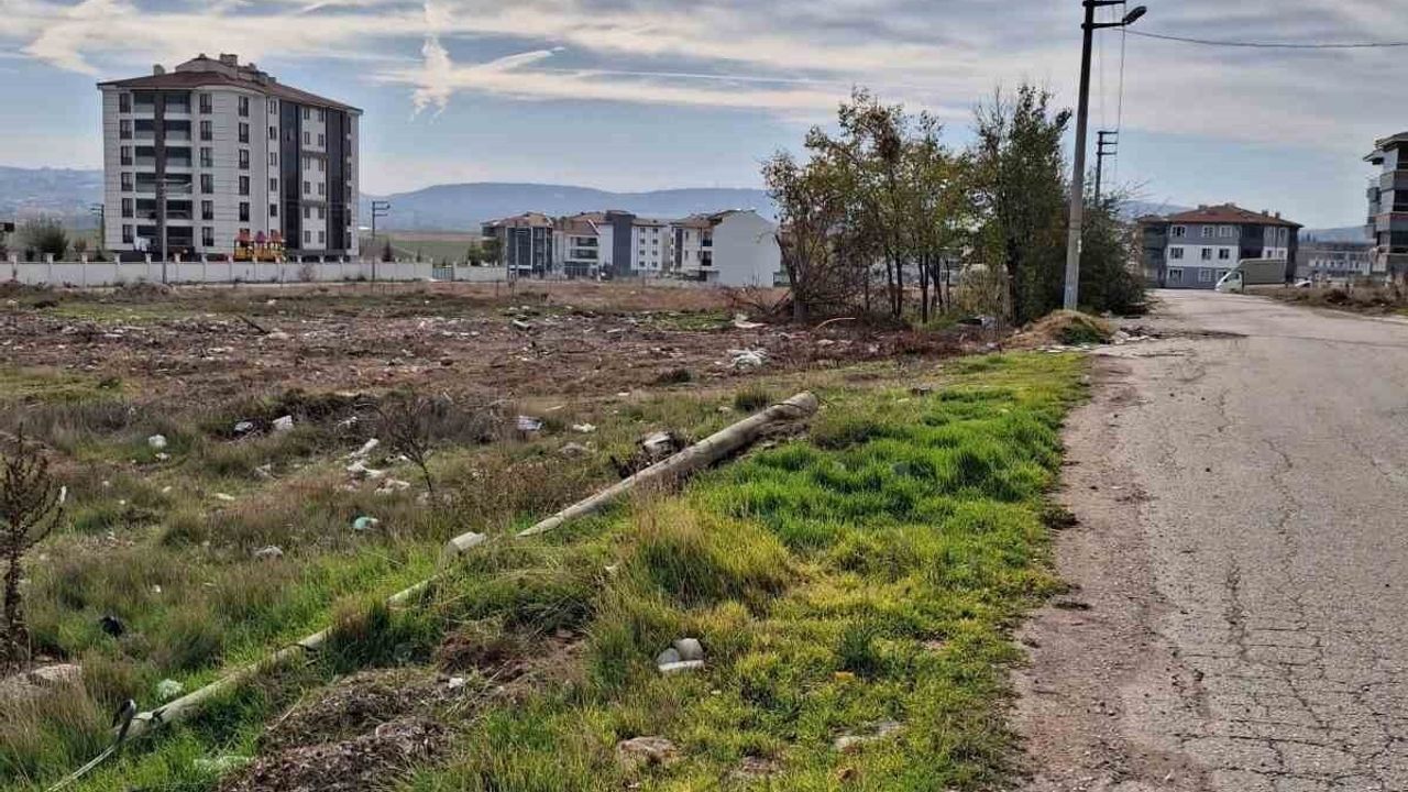 Eskişehir'de Devrilen İnternet Direği Mahallede Tehlike Oluşturuyor