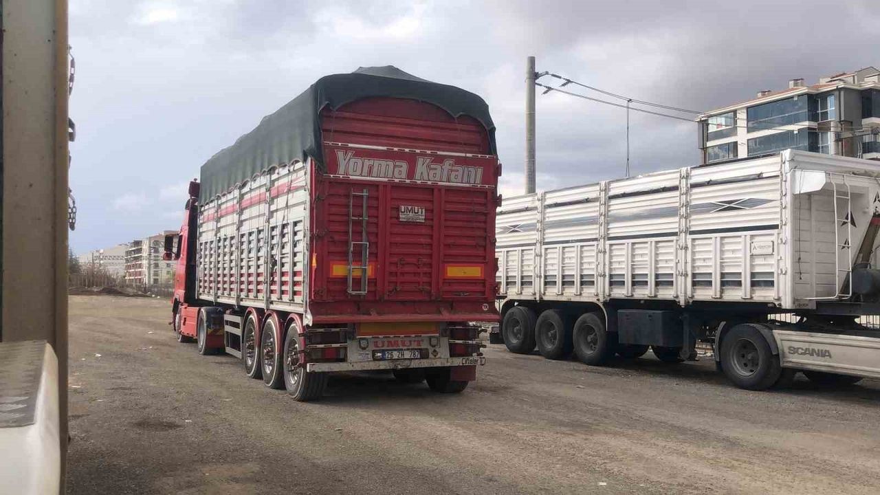 Eskişehir'de pancar yüklü tır polisin 'Dur' ihtarına uymadı, fabrikada yakalandı