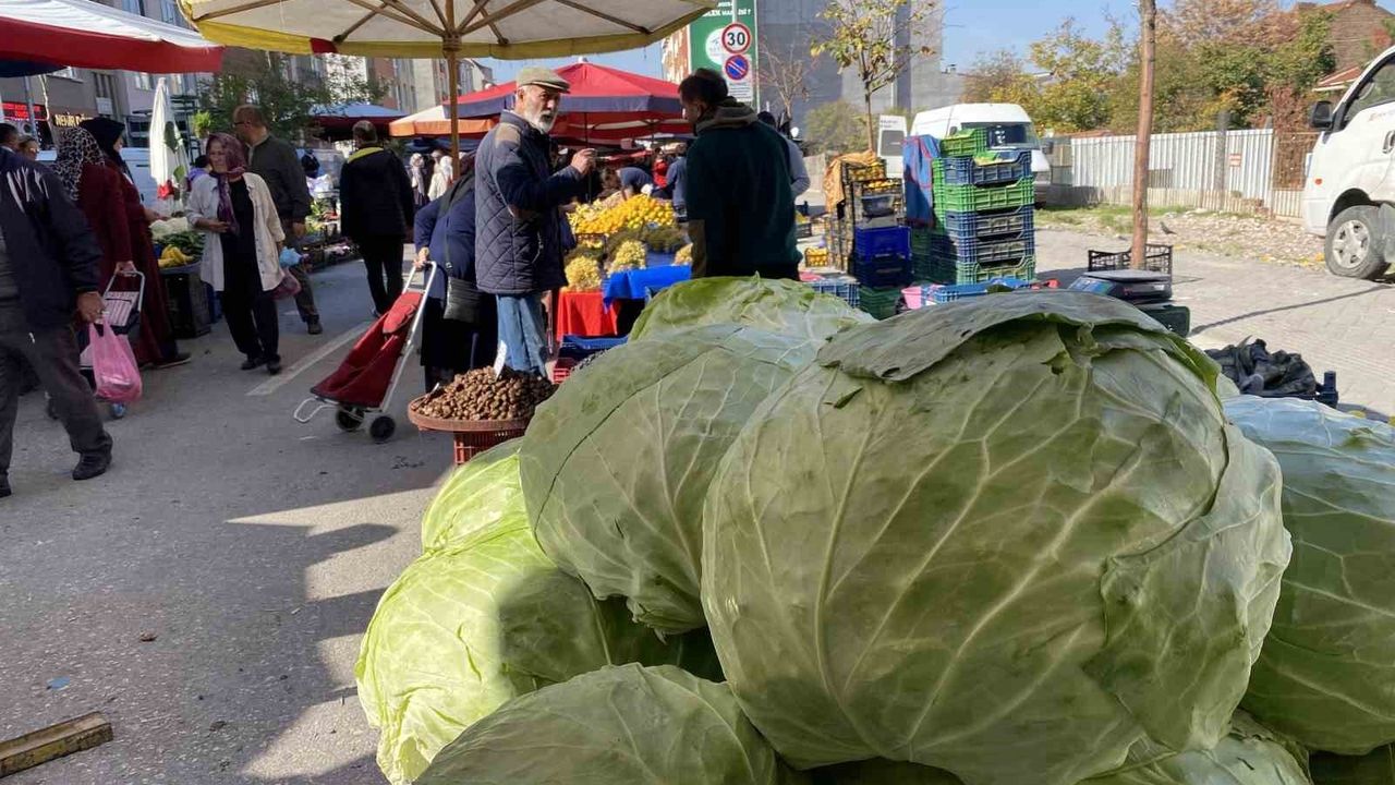 Eskişehir’de Pazarın Gözdesi: 11 Kiloluk Devasa Lahanalar