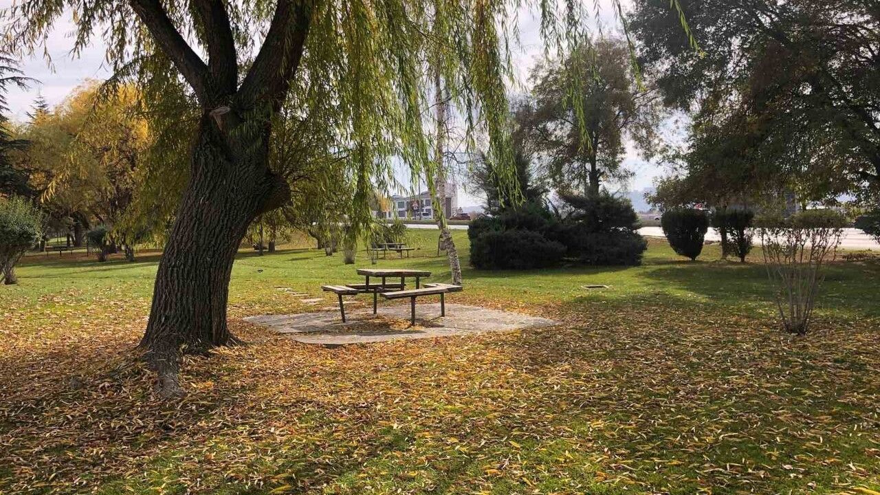 Eskişehir'de Sonbahar: Fevziçakmak'ta Kartpostallık Yapraklar