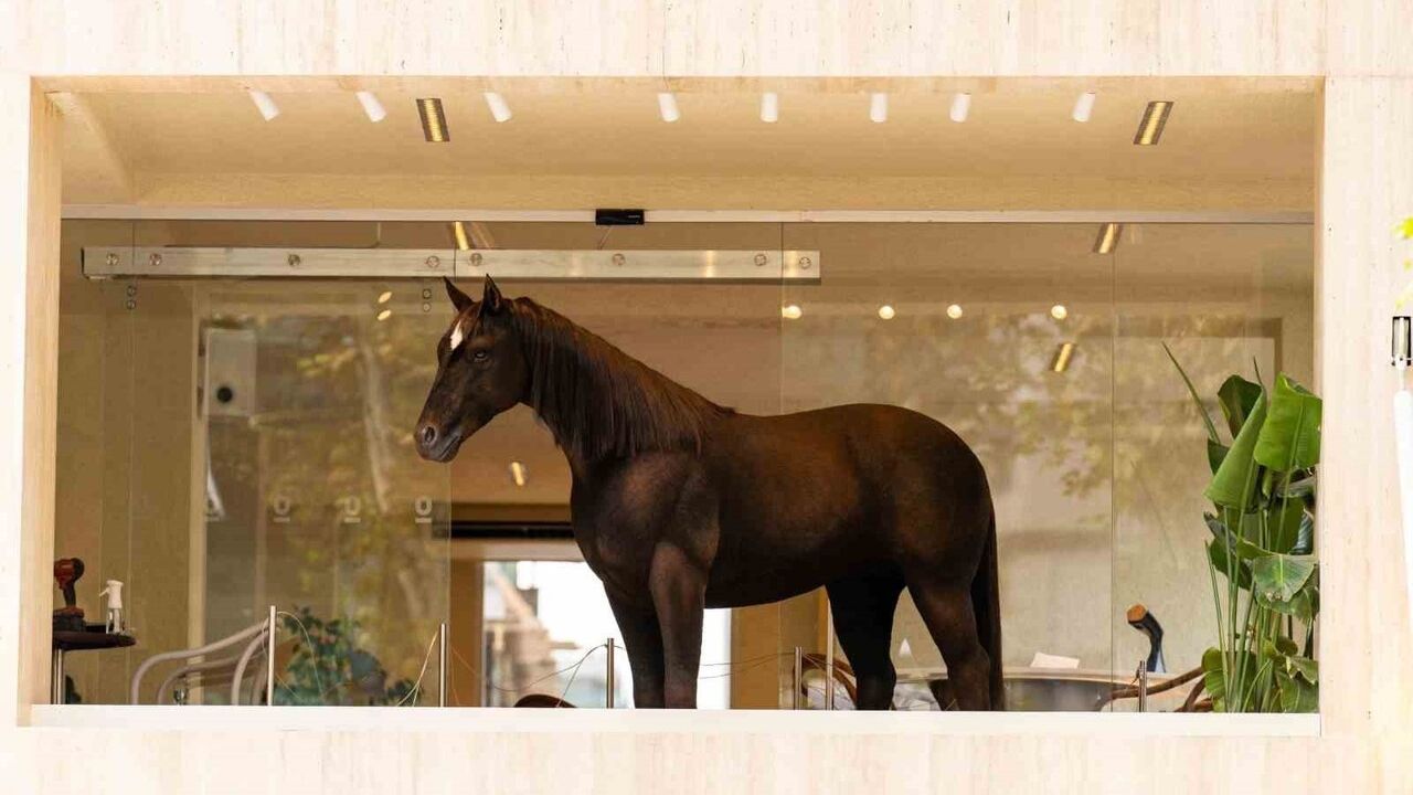 Espressolab ve Animax Designs İstanbul’a 'Kahve' Animatronik Atını Getirdi