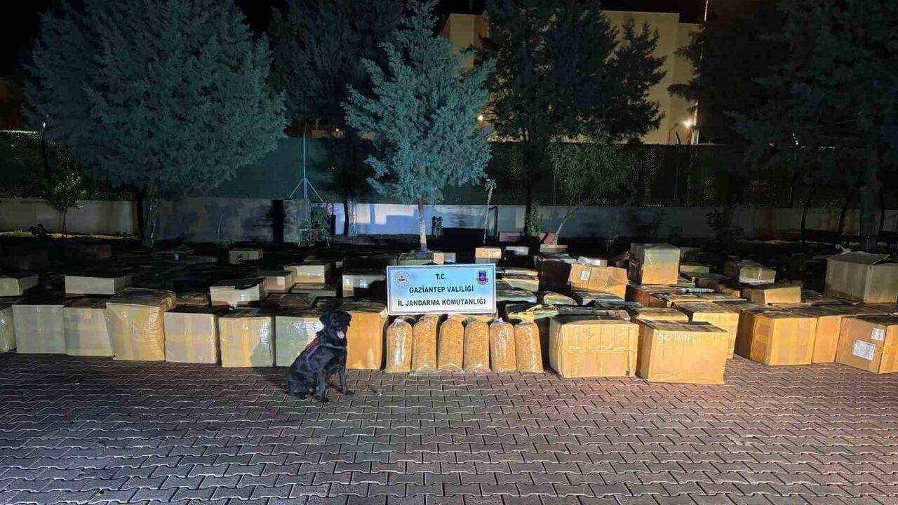 Gaziantep’te 7 ton 100 kg gümrük kaçağı tütün ele geçirildi — 1 gözaltı