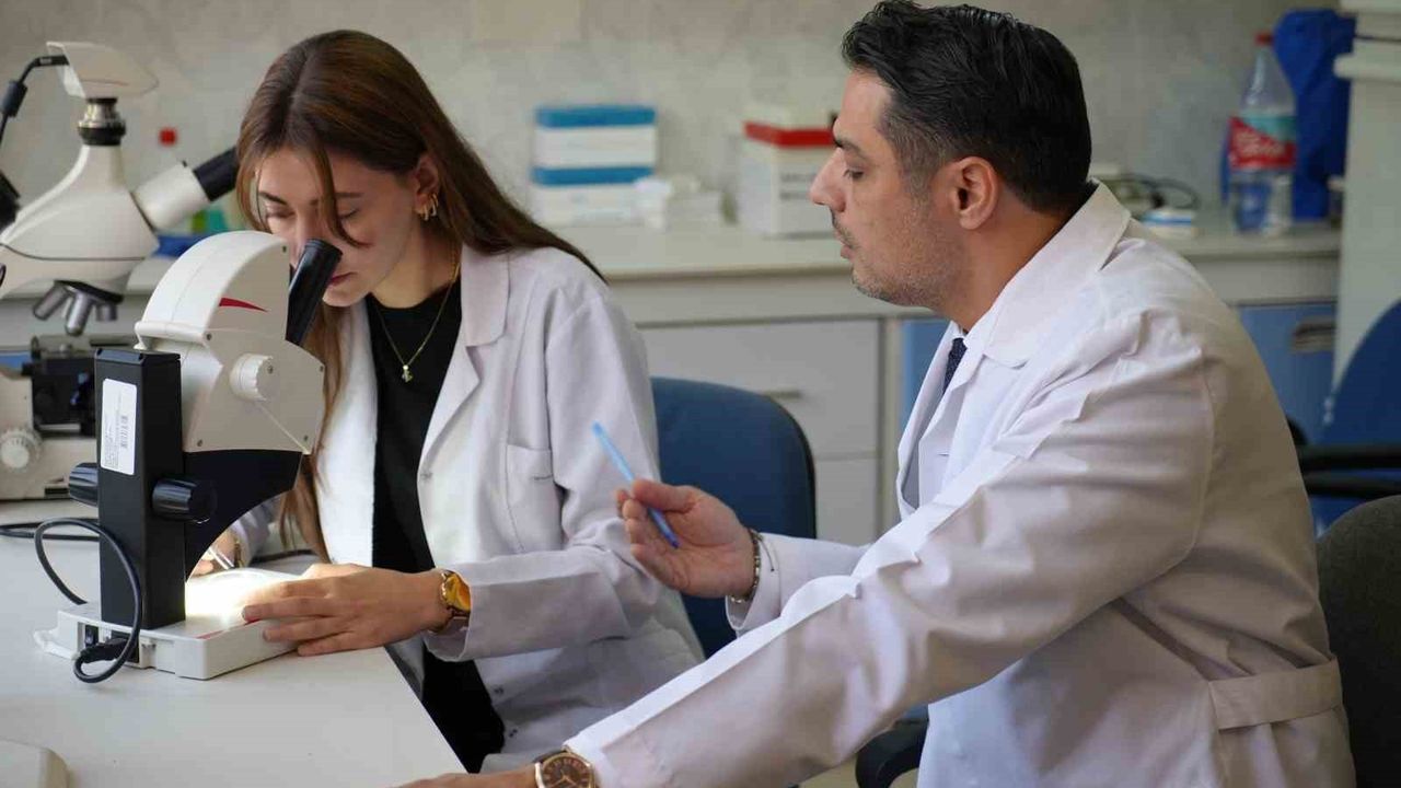 Gaziantep'te 'üvez' İstilası: Antep Fıstığı Psilidi Şehir Merkezine Taştı