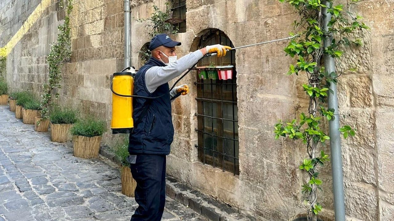 Gaziantep'te Üveze Karşı İlaçlama Seferberliği