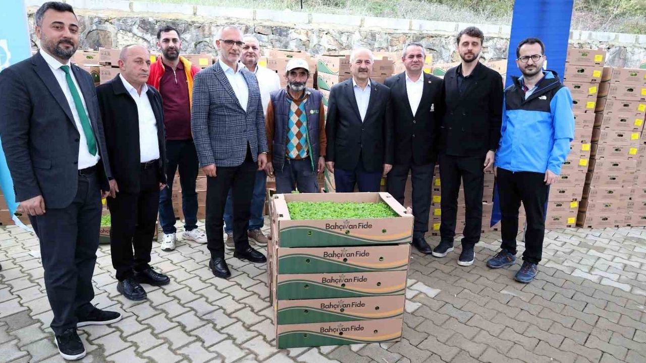 Gebze’de 500 Bin Sebze Fidesi: Kocaeli Büyükşehir’den Tarım Desteği