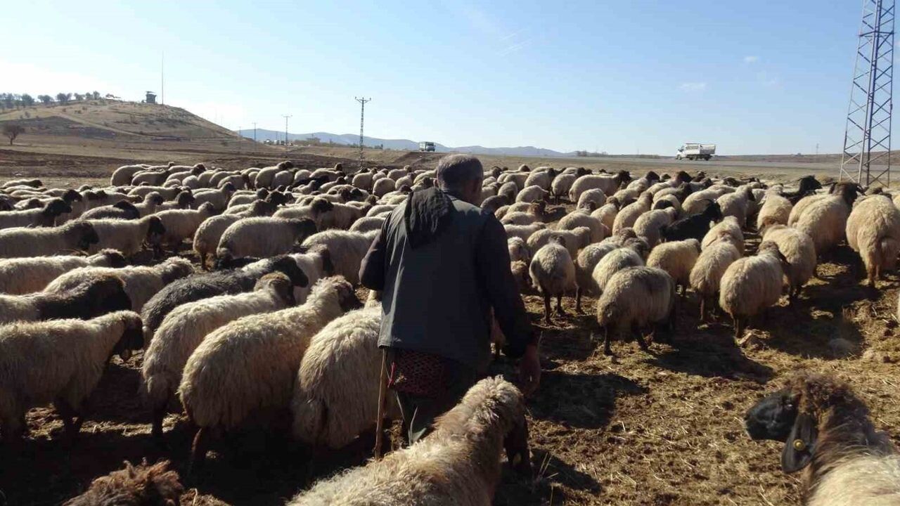 Gercüş’te Göçerlerin Zorlu Yolculuğu: Van ve Bitlis'ten Nusaybin'e