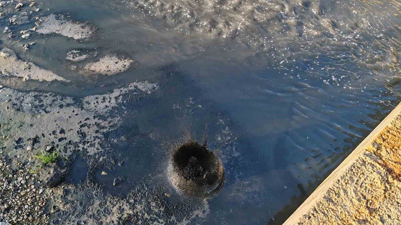 Gerede'de dere kirliliği davası yeniden görülecek: Bölge mahkemesi kararı bozdu