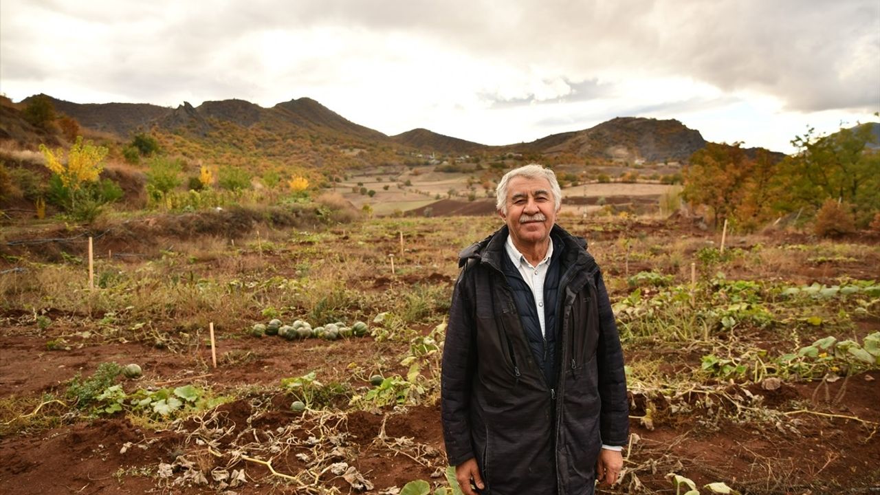 Giresun'da Emekli Bankacı 16 Dönümde 650 Fidanla Antep Fıstığı Bahçesi Kurdu