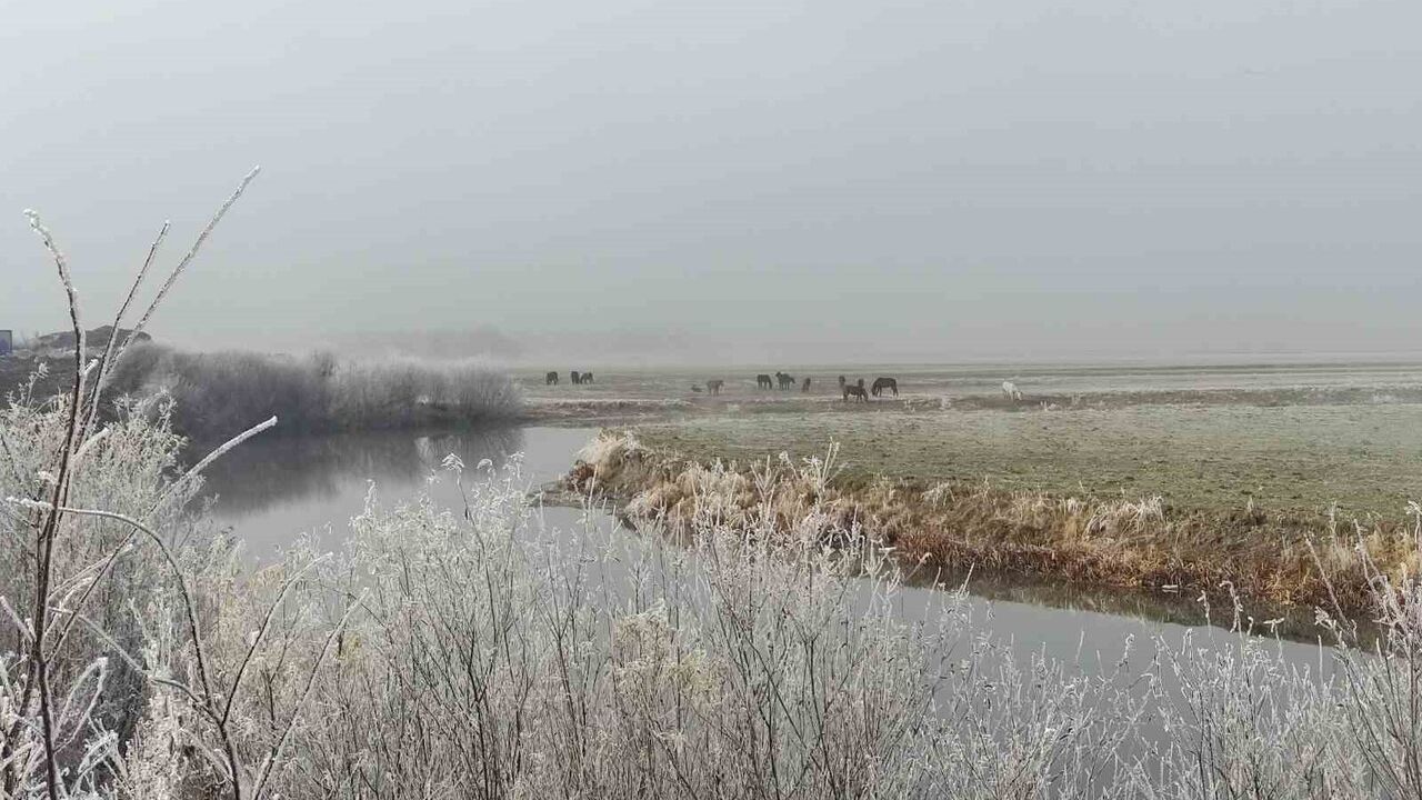 Göle'de Sıcaklık -14,6°C: Ardahan'da Dondurucu Soğuklar