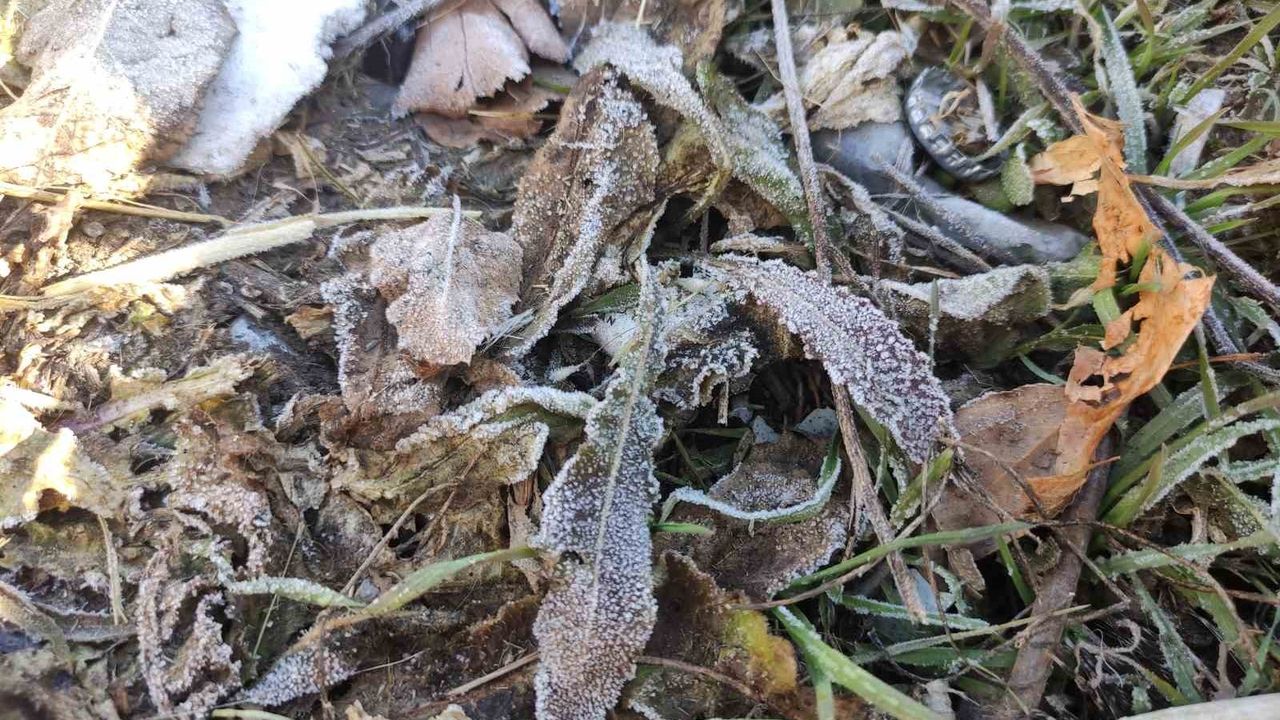 Göle eksi 6,4 dereceyle Türkiye'nin en soğuk yerleşimi oldu