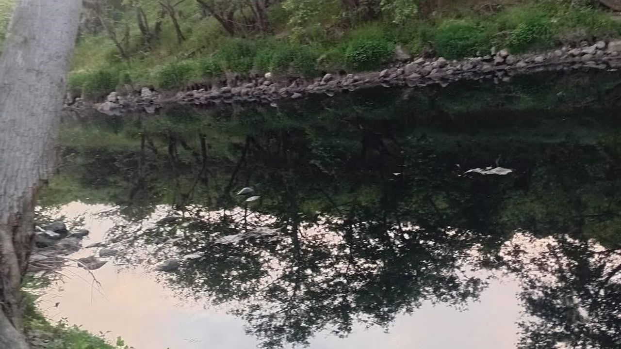 Gönen Çayı'nda Ekolojik Çöküş: Bilim İnsanlarından Acil Eylem Çağrısı