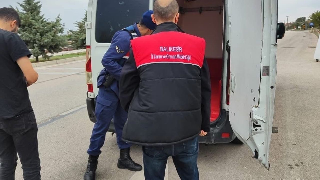 Gönen'de Şap Hastalığı Alarmı: Denetimler Sıklaştırıldı