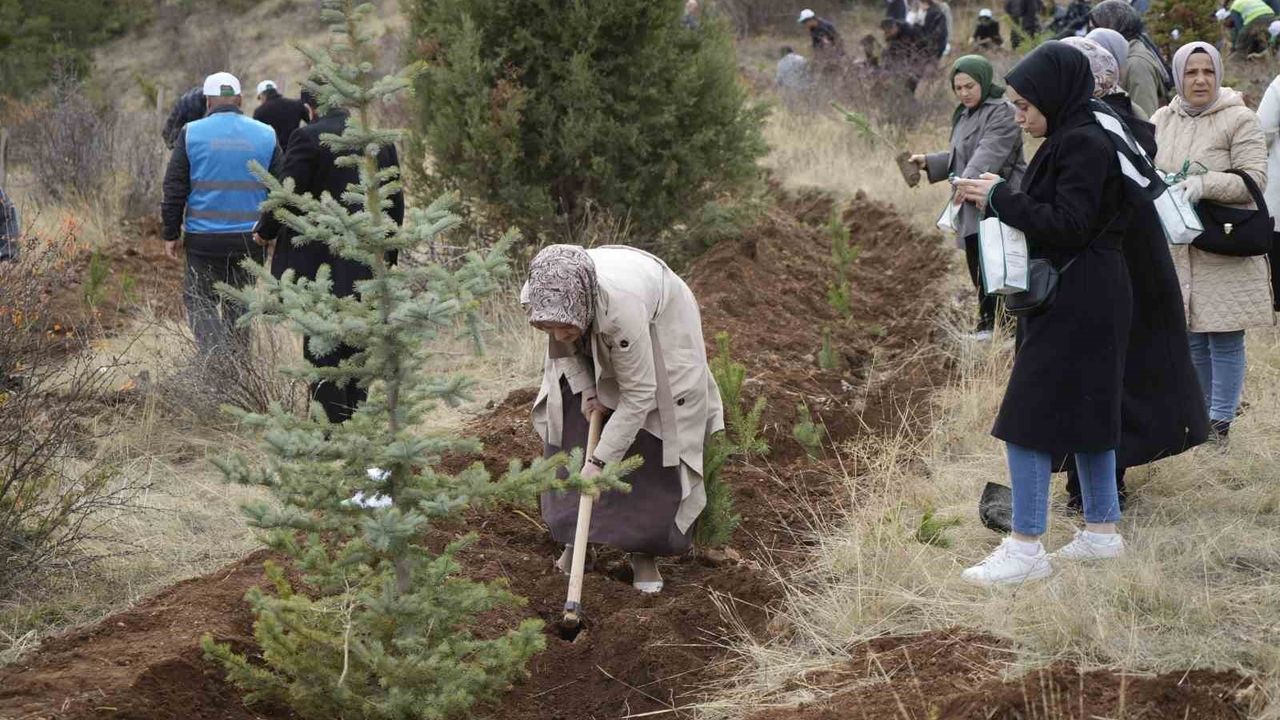 Gümüşhane'de 11 Kasım Milli Ağaçlandırma Günü'nde Sarıçam Fidanları Toprakla Buluştu