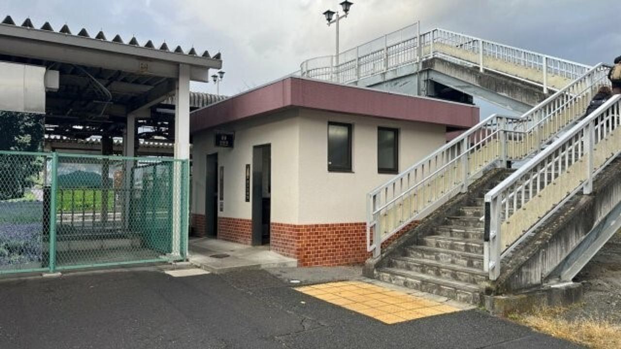 Gunma'da Tren İstasyonunda Ayı Saldırısı: 69 Yaşındaki Adam Hafif Yaralandı