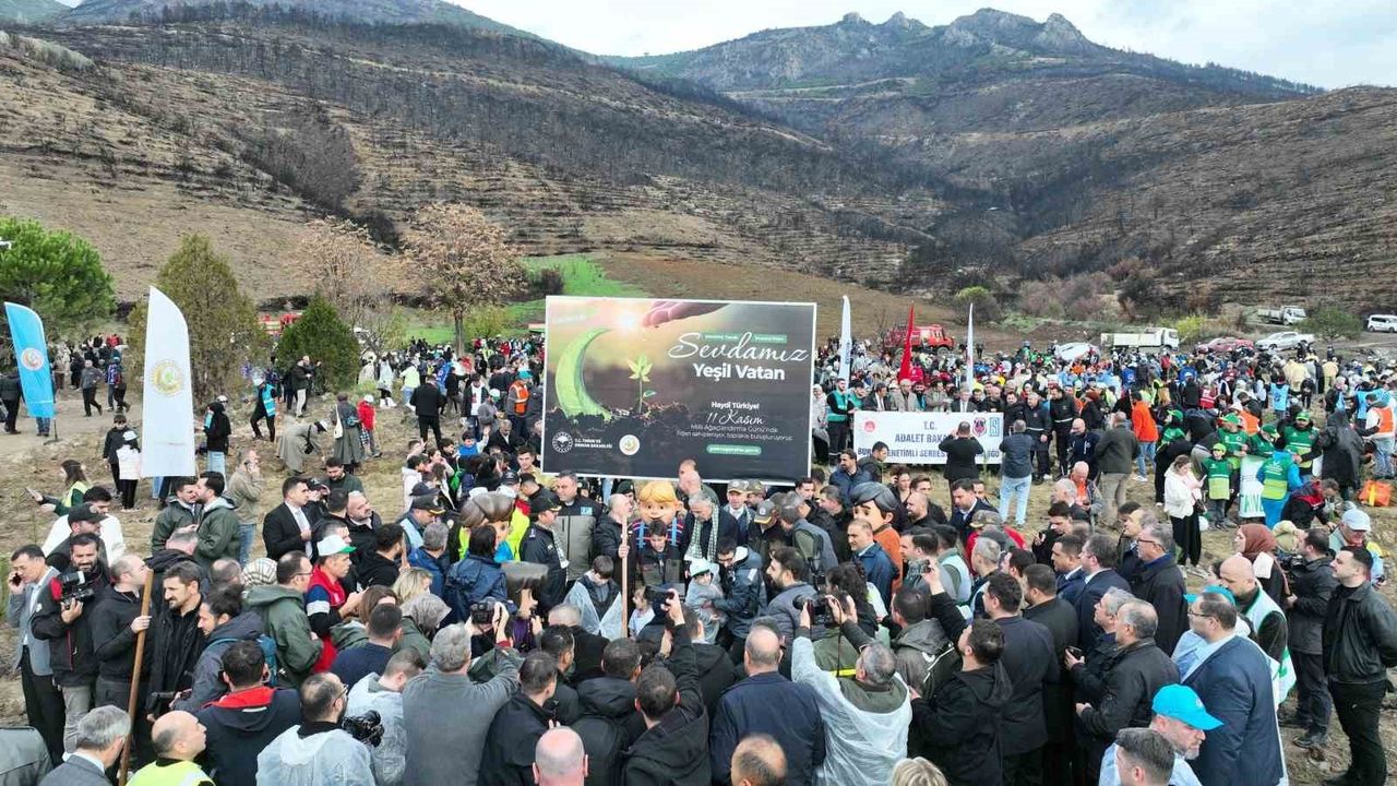 Gürsu Tek Yürek: Binlerce Fidanla Yeniden Yeşilleniyor