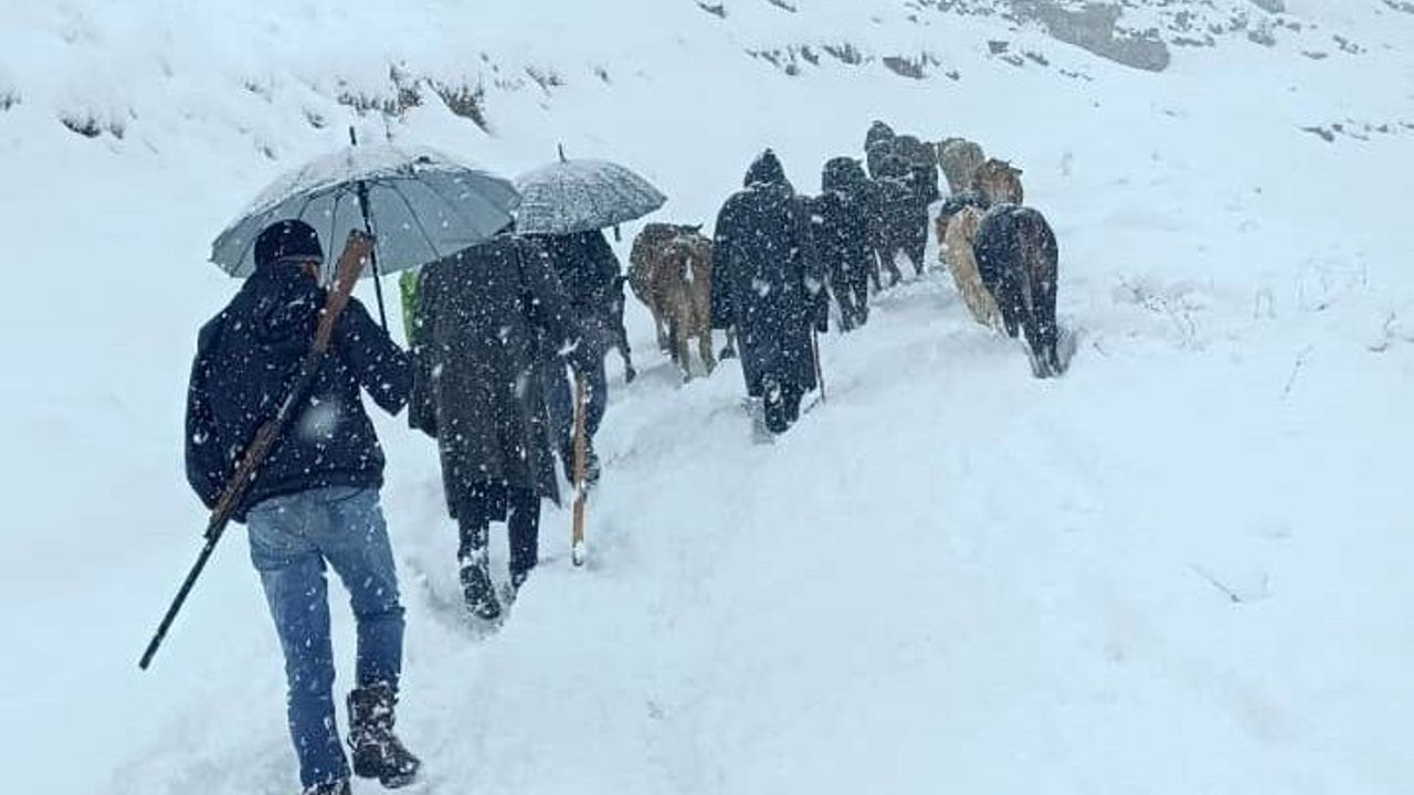 Hakkari’de Mahsur Kalan Sürü Köylülerin Çabasıyla Kurtarıldı