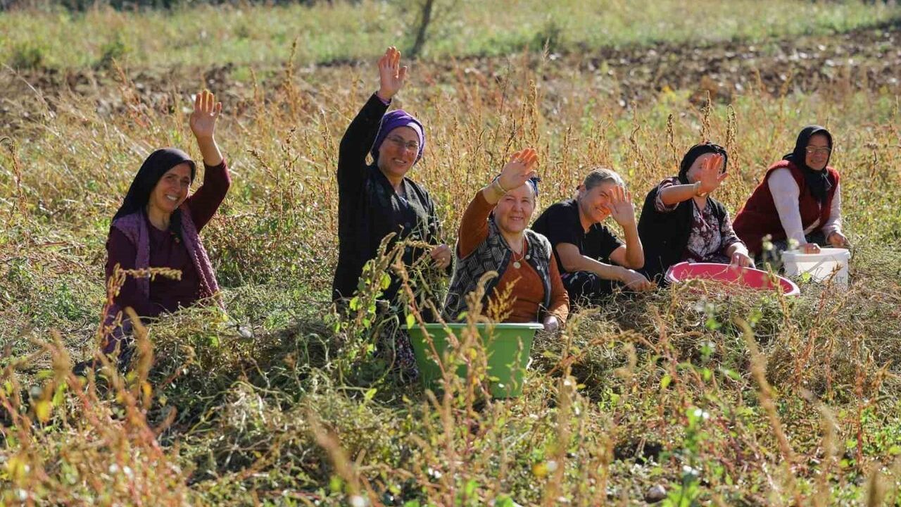 Halit Doğan: Samsun'da Tarımsal Üretimde Sürdürülebilirlik