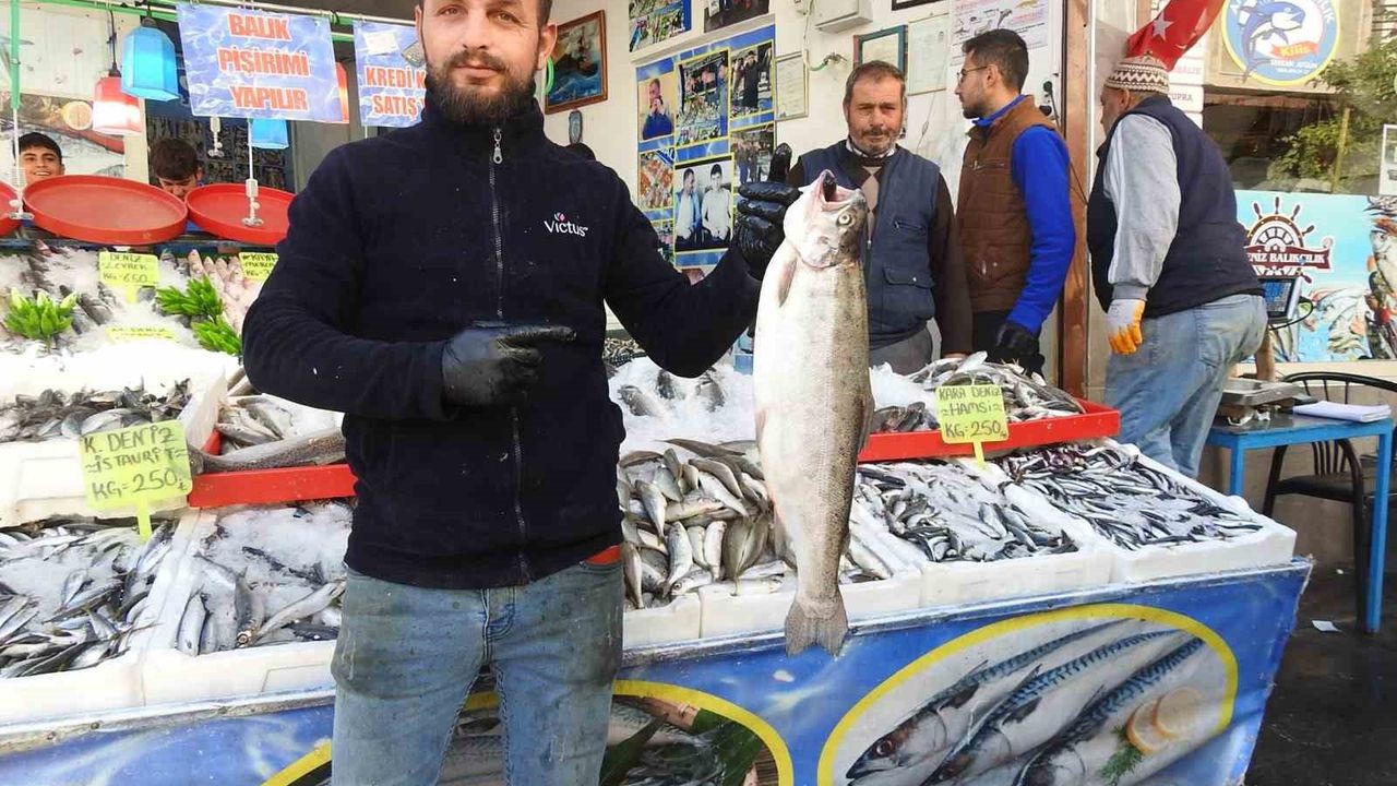 Hamsi 100 TL'ye Düştü: Karadeniz Bolluğu Kilis'te Fiyatları Aşağı Çekti
