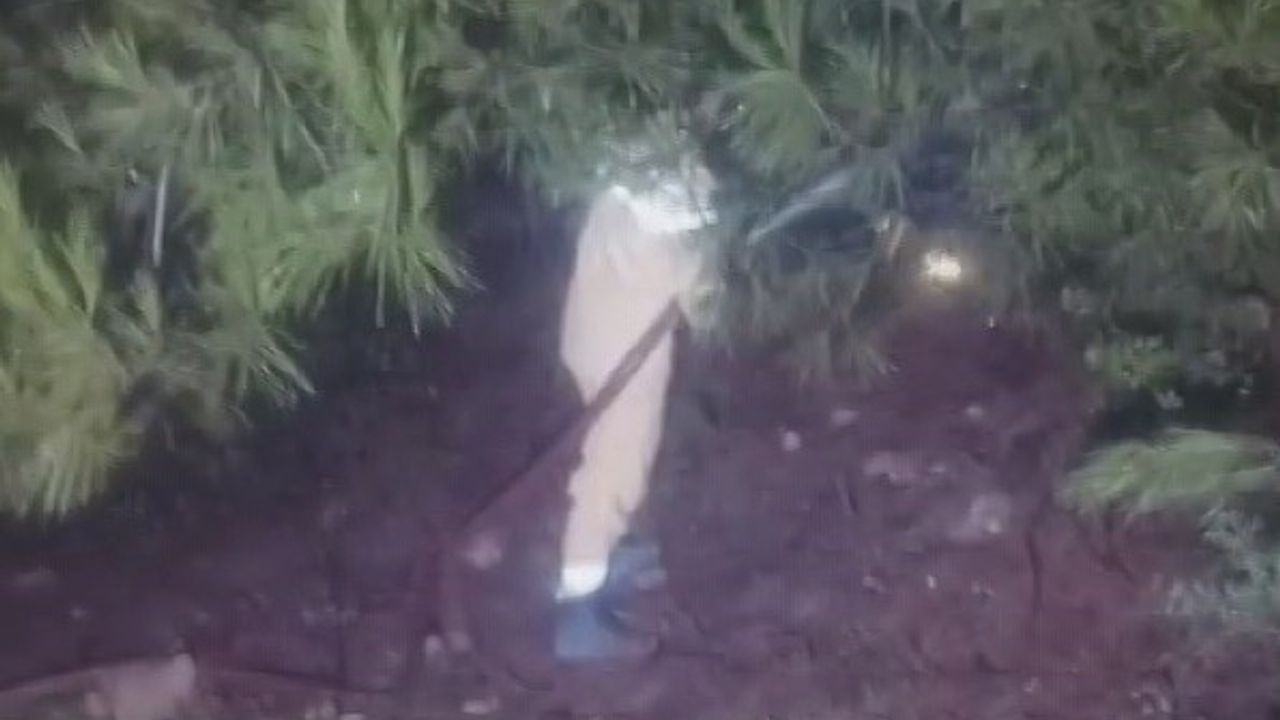 Hatay Antakya'da Yıldırım Ağaçlık Alanda Yangın Çıkardı — İtfaiye Hızla Müdahale Etti