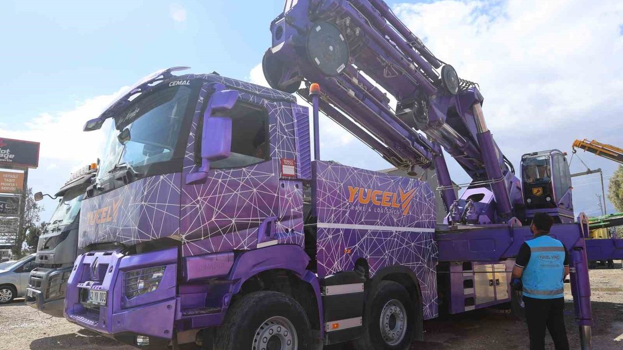 Hatay'da Pembe Vincin Hikâyesi: Kızının Sözleriyle Renklenen Vinçler