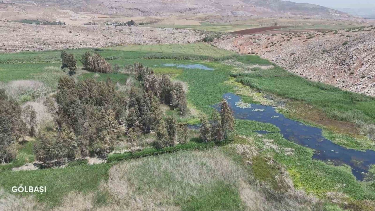 Hatay'da Su Sümbülleri Depremzede Kadınların Eserine Dönüşüyor