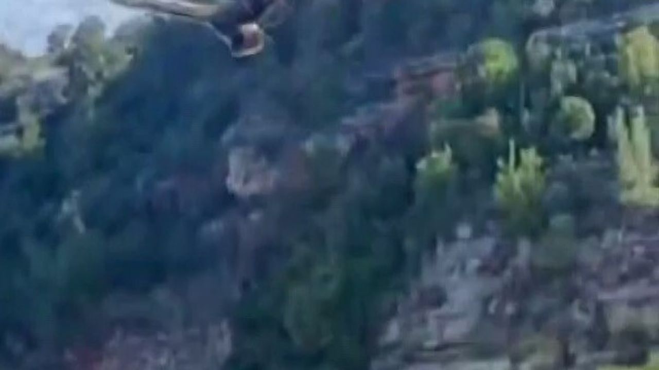Hatay'da Yılanın Boğazladığı Kartal Vatandaşlarca Kurtarıldı