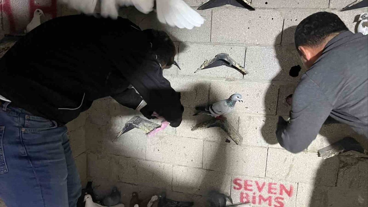 Hatay İskenderun'da Kuş Kümesinden 2 Kilo 500 Gram Kannabinoid ve 101.800 TL Ele Geçirildi