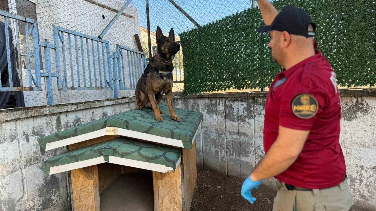 Hector ve Mailo: Batman'da Narkotik Operasyonlarının Kâbusu